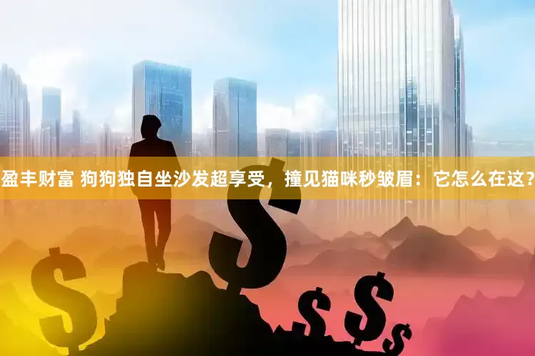 盈丰财富 狗狗独自坐沙发超享受，撞见猫咪秒皱眉：它怎么在这？
