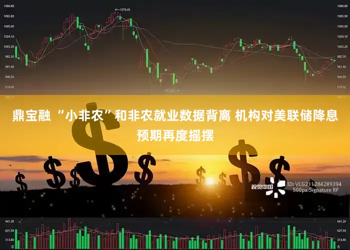 鼎宝融 “小非农”和非农就业数据背离 机构对美联储降息预期再度摇摆