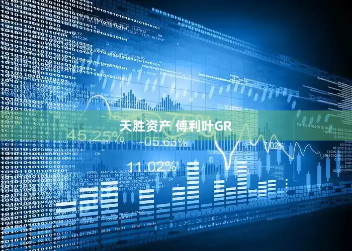 天胜资产 傅利叶GR