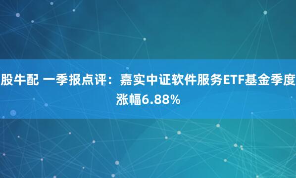 股牛配 一季报点评：嘉实中证软件服务ETF基金季度涨幅6.88%